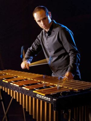 Vibraphone Virtuoso! A Symphony of Learning and Fun for Budding Musicians